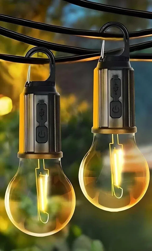 Illuminate Your Adventure: Zigoods Decorative Hanging Bulb (Pack of 2)
