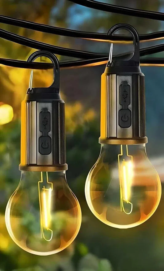 Illuminate Your Adventure: Zigoods Decorative Hanging Bulb (Pack of 2)
